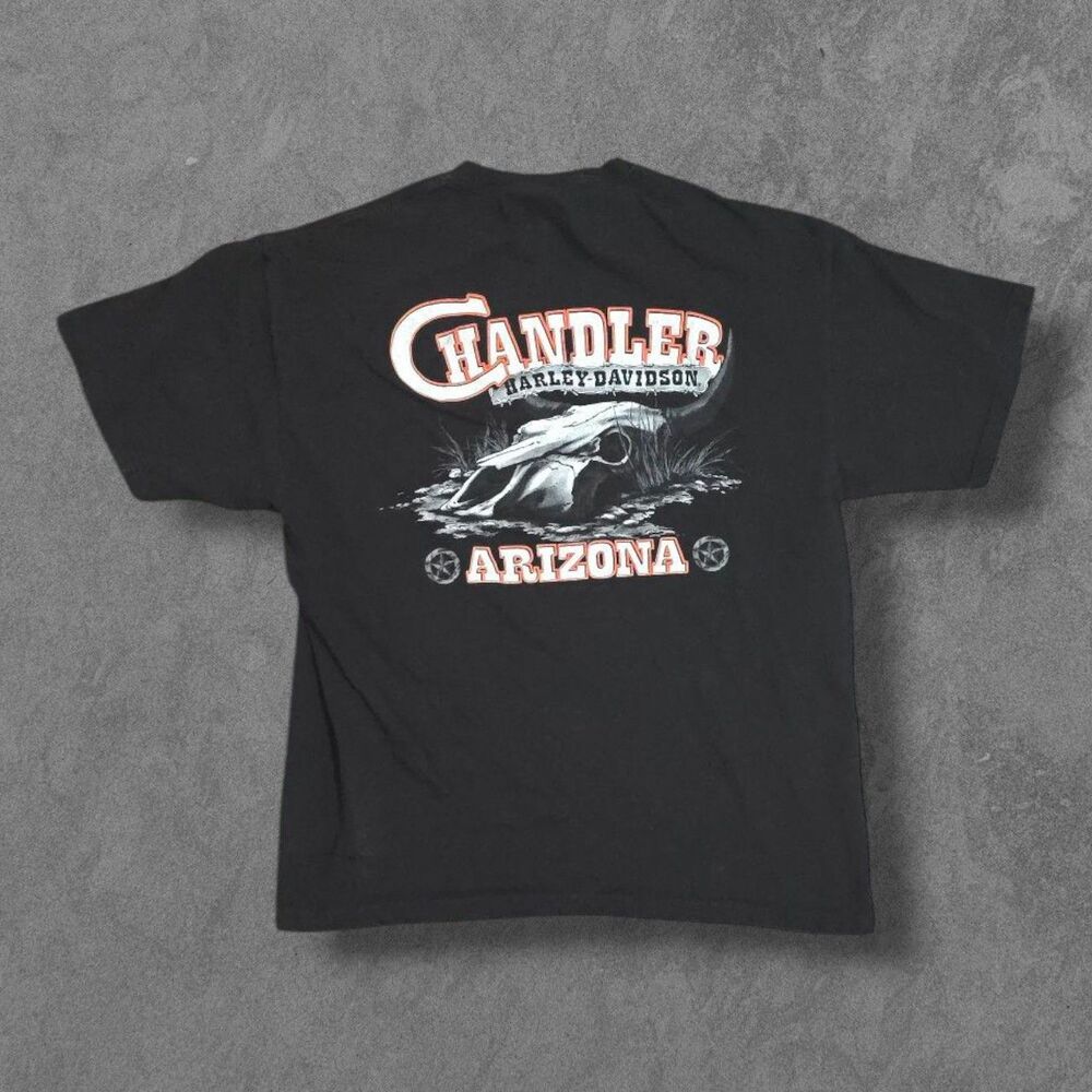 Vintage Y2K Harley Davidson Chandler Arizona Skull Grunge Biker Shirt XL